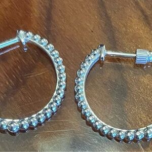 Elegant Silver Hoop Earrings